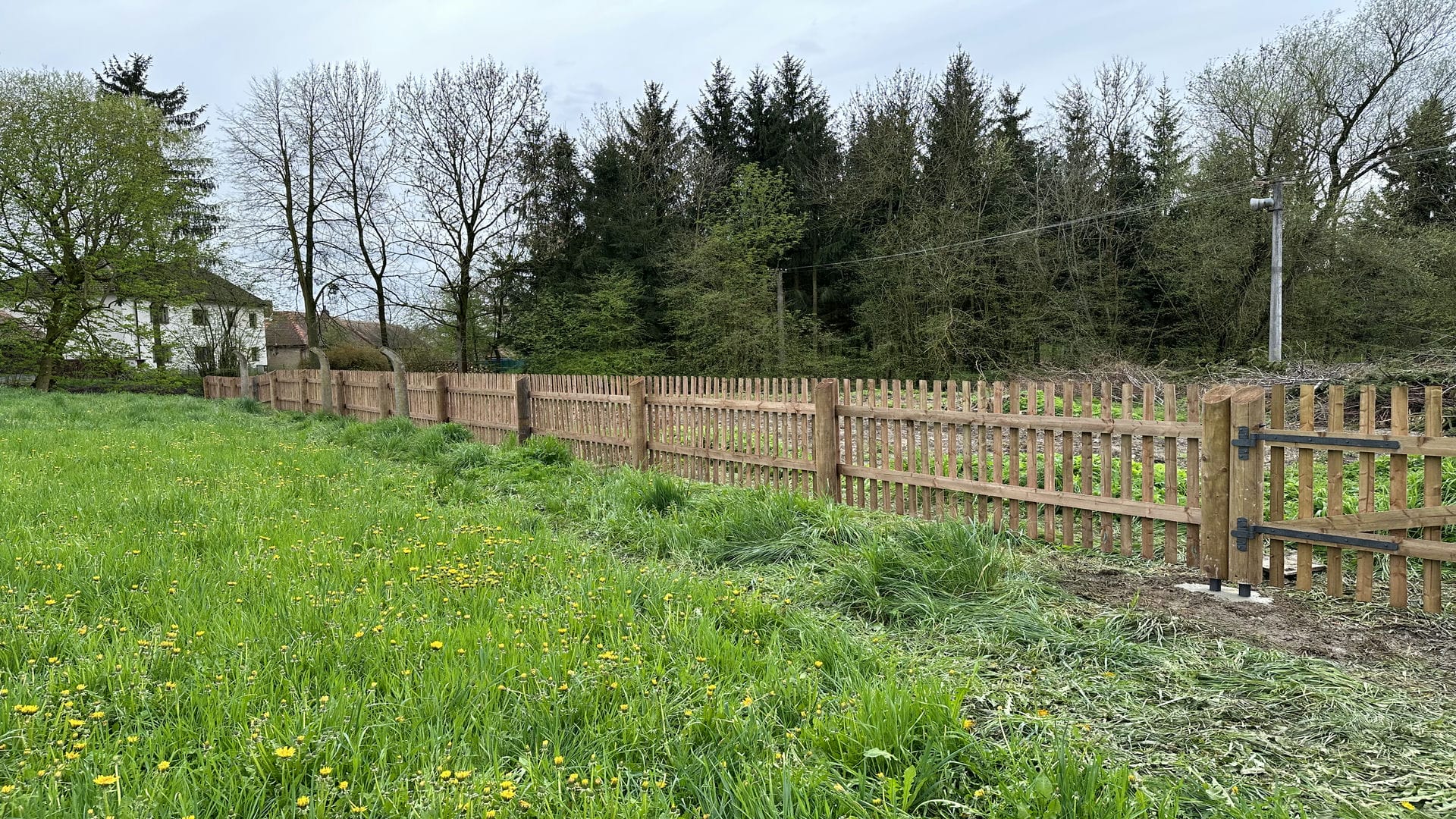 Obrázek 4 / Dřevěné ploty - strojně frézované   - realizace Holešovice 04-2023